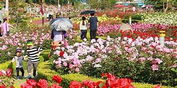 Rose Garden Honeymoon Tour